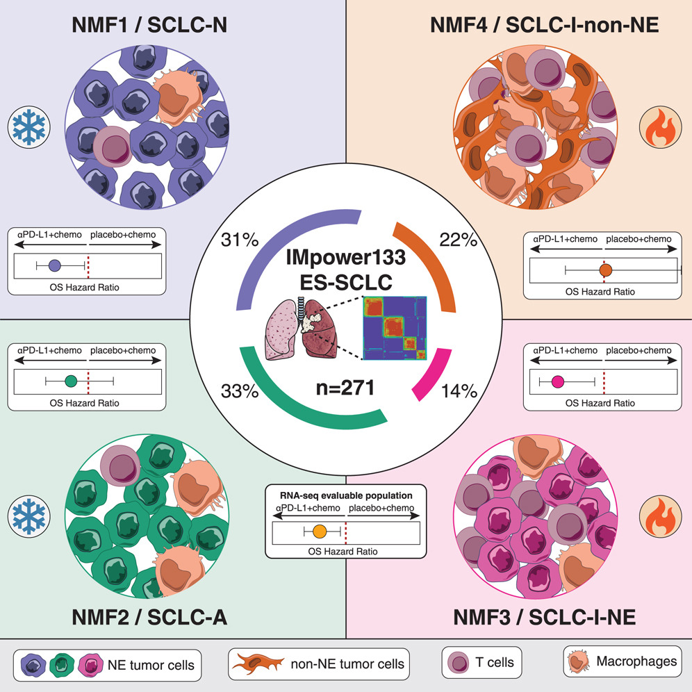 Larger view: Example graphical abstract for an article featuring Phase III clinical trial data analysis.